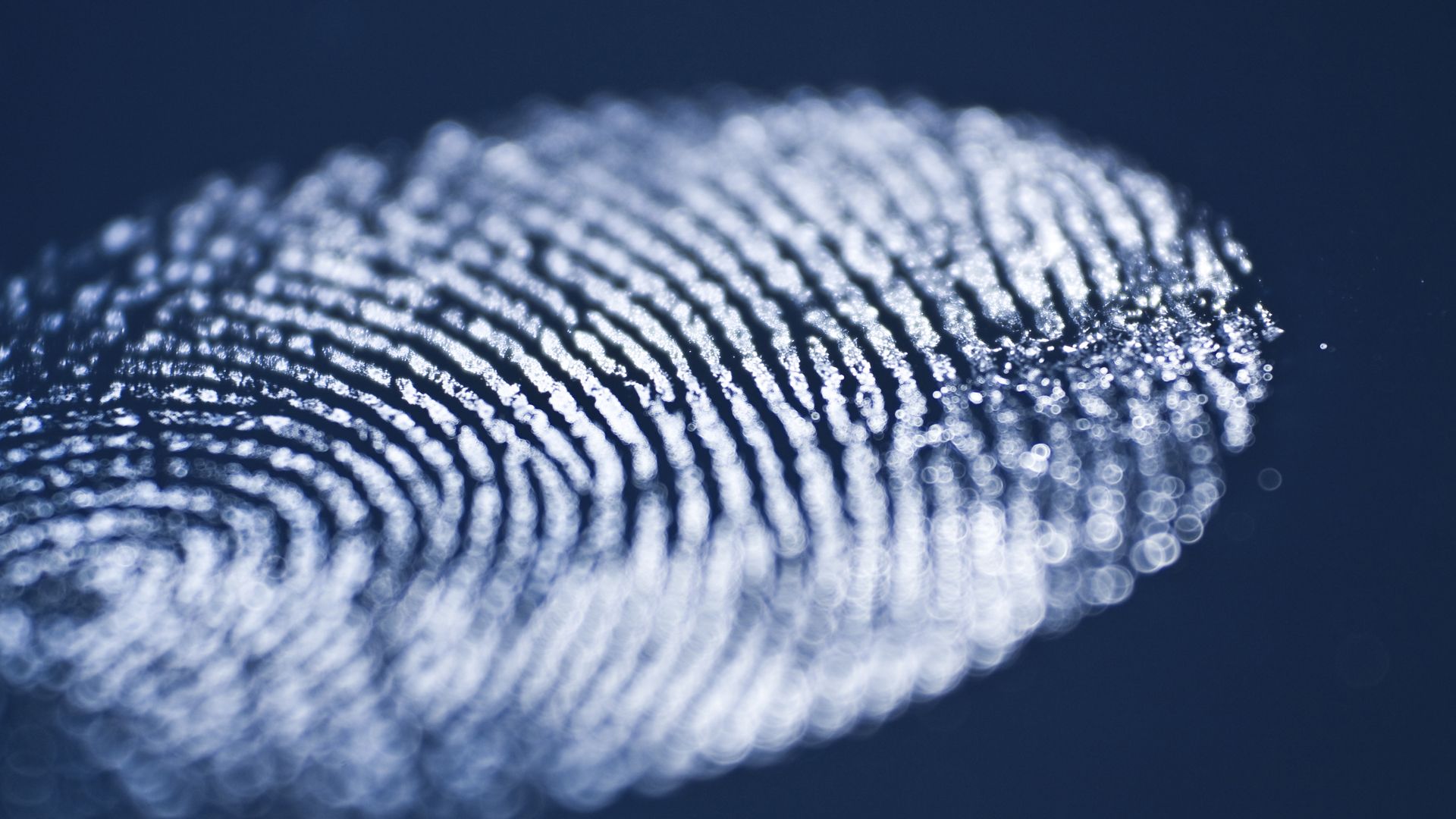 Blog van Geerhard Bolte, uitgever van Uitgeverij Haystack. De uitgeverij voor originele en toegankelijke boeken over management, psychologie en maatschappij.