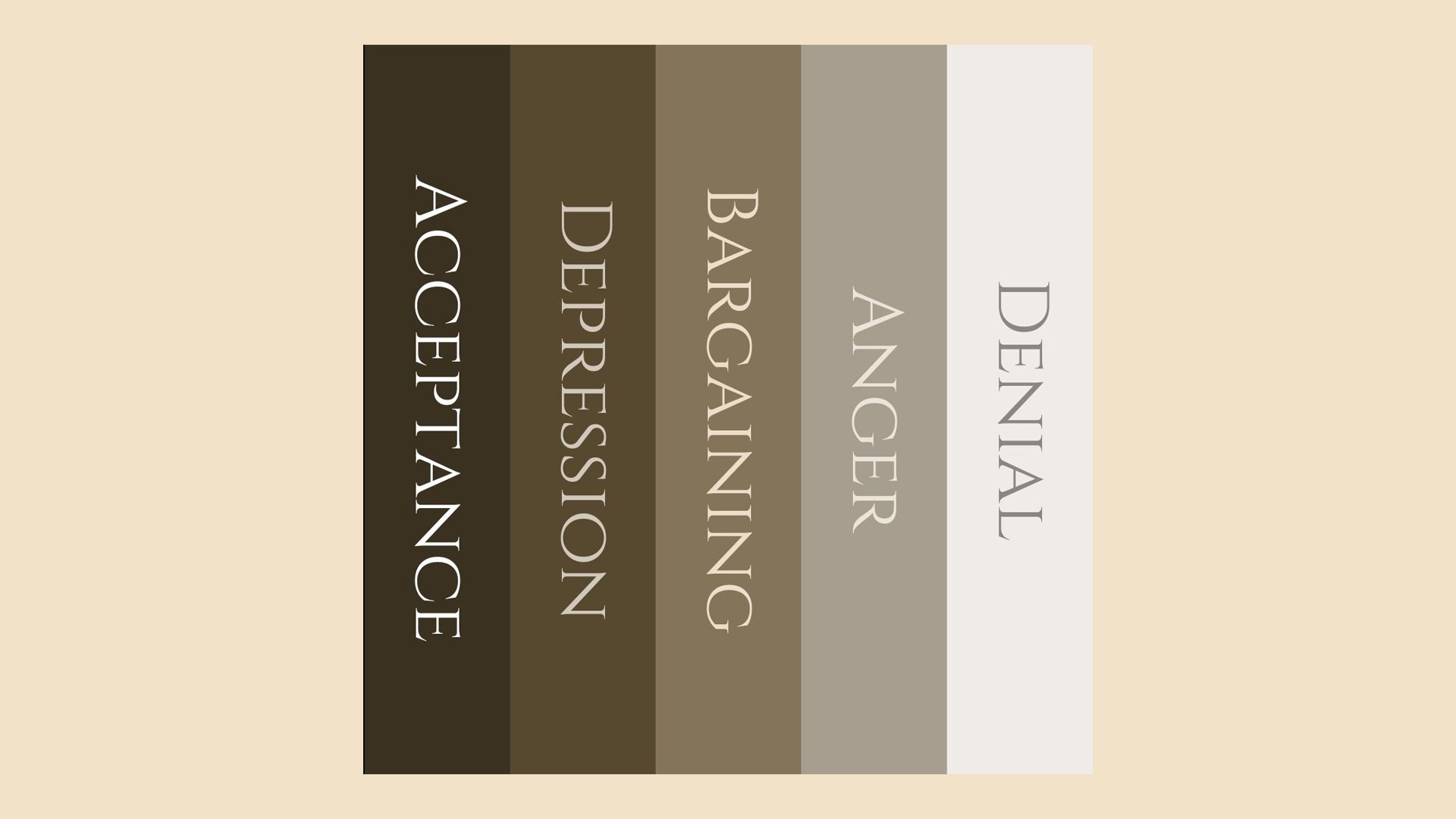 Paaseieren van Taylor Swift, biografie over Taylor Swift van Hans van der Loo