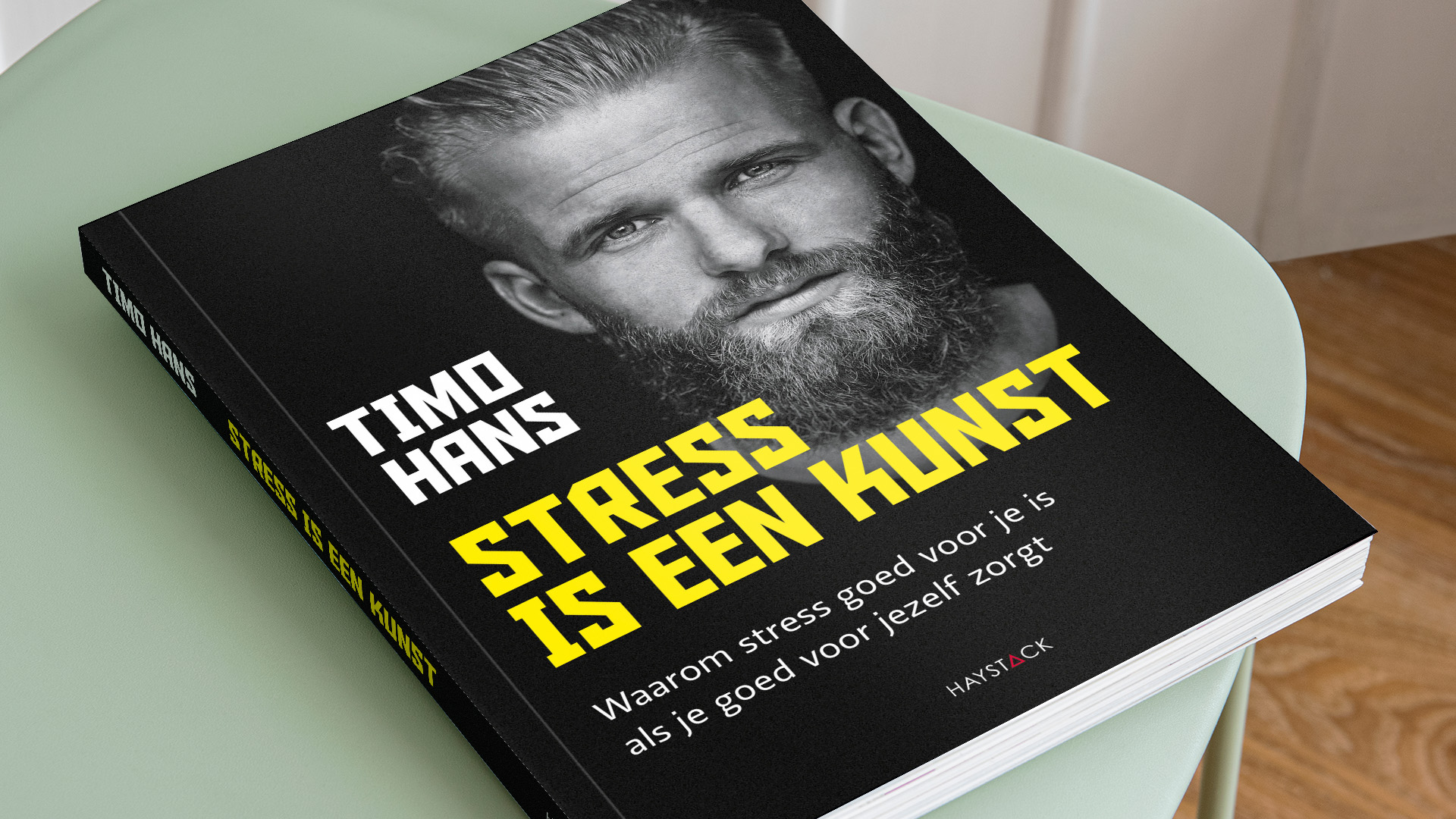 Stress is een kunst - Uitgeverij Haystack