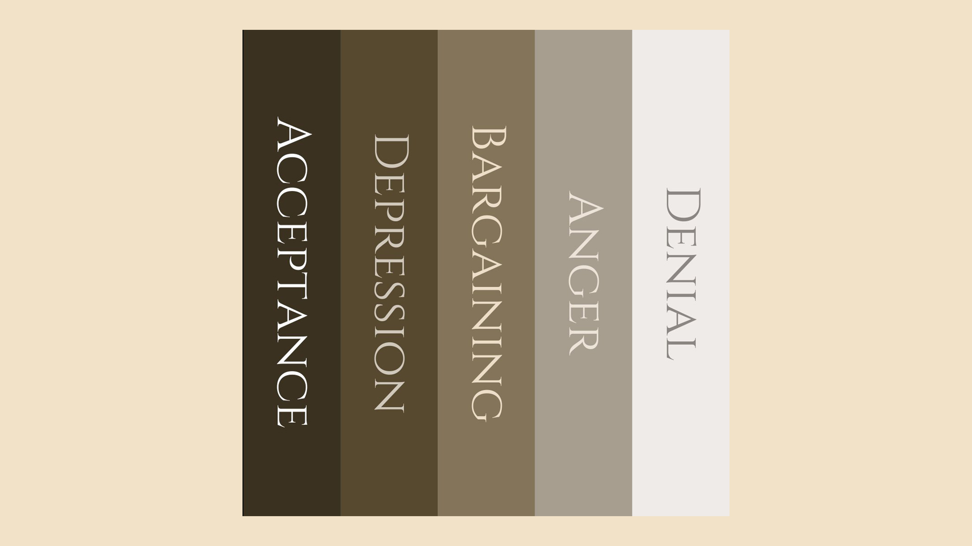 Paaseieren van Taylor Swift, biografie over Taylor Swift van Hans van der Loo